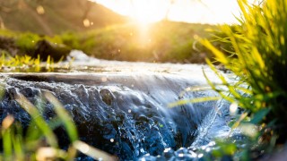 Stromqualität Gewerbestrom Gewerbestrom mit ökologischer Qualität