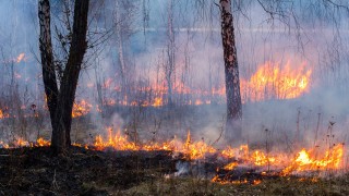 Treibhauseffekt: Waldbrand Treibhauseffekt verursacht Naturkatastrophen