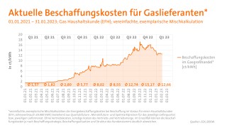 Entwicklung der Beschaffungskosten für Gaslieferanten Infografik zu den aktuellen Beschaffungskosten für Gaslieferanten