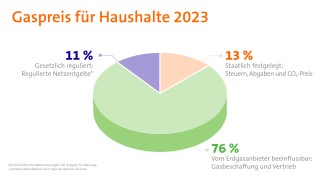 Zusammensetzung des Gaspreises für Haushalte in 2023 Infografik zum Gaspreis für Haushalte 2023
