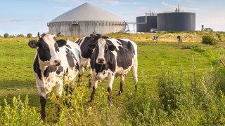 Wissenswertes über Biogas