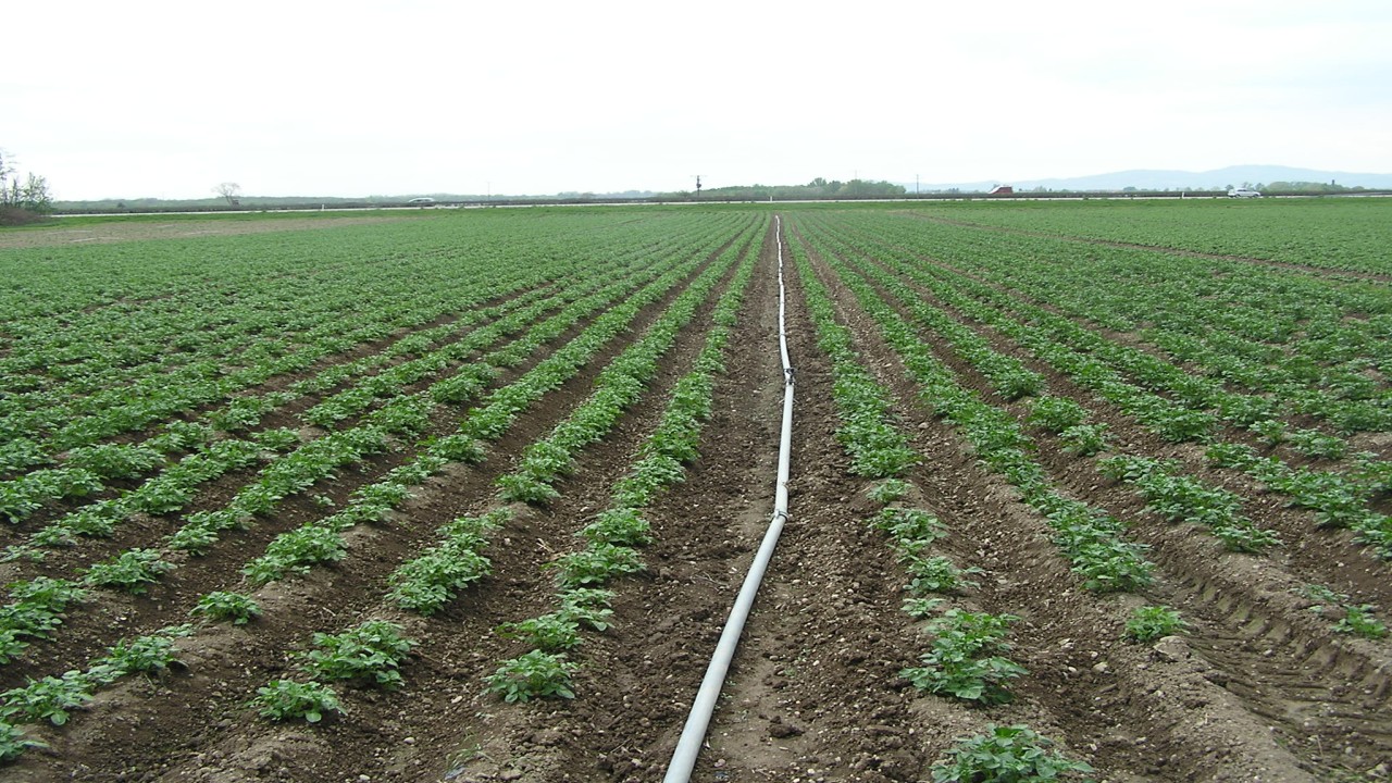 Kombinierter Ansatz zur Bestimmung der repräsentativen Nitratauswaschung unter landwirtschaftlich genutzten Böden