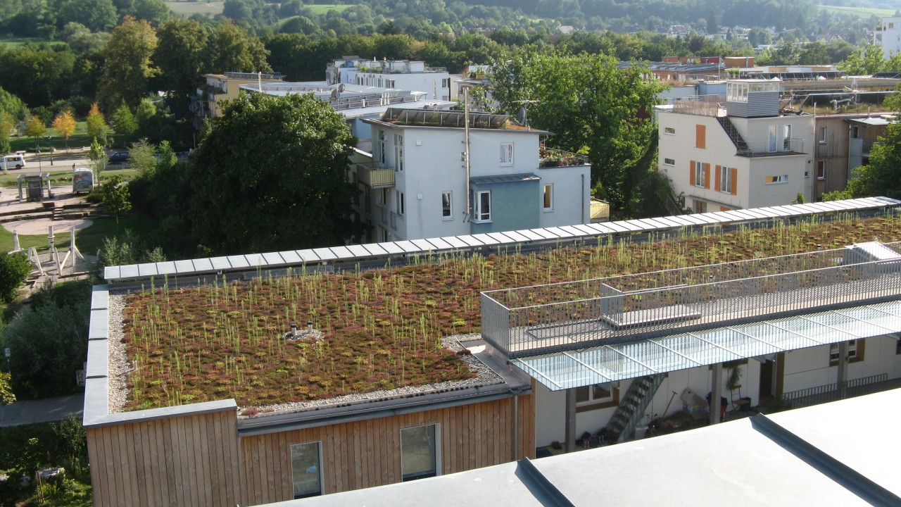 Versickerung von Regenwasser im Vauban