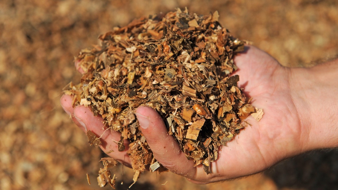 Untersuchung zur integrierten Biogas- und Feststoffproduktion auf Naturschutzflächen im oberen Murgtal