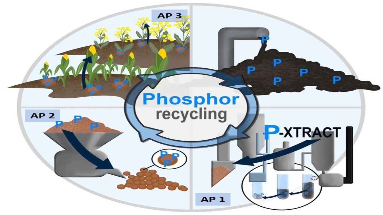 Vom Klärschlamm zum Pflanzendünger - Phosphorrecycling aus Klärschlammasche