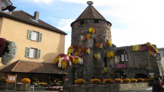badenova unterstützt bereits seit vielen Jahren die Chrysanthema in Lahr. Dabei handelt es sich um das traditionsreichste Blumen- und Kulturfestival im Südwesten.