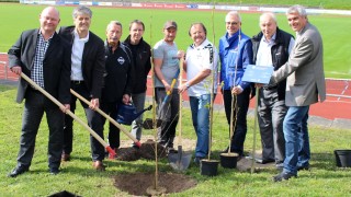 Nachhaltigkeit beim SC Freiburg – Nachhaltigkeit bei badenova: Beides wird durch die gemeinsame Baumpflanzaktion in der aktuellen Bundesligasaison miteinander verknüpft. badenova spendiert pro Tor einen Baum, die Baumpatenschaft übernehmen Vereine.